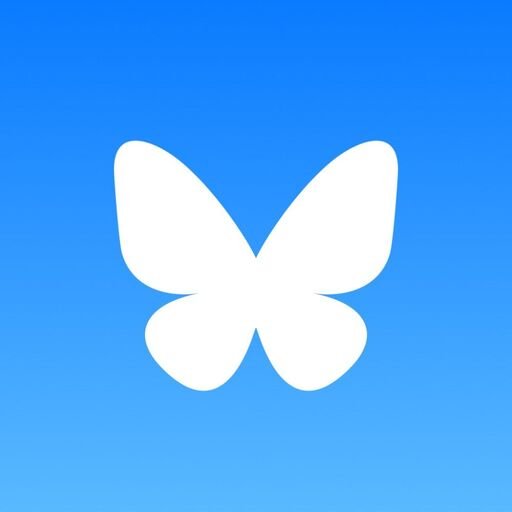 Who Owns Bluesky?
