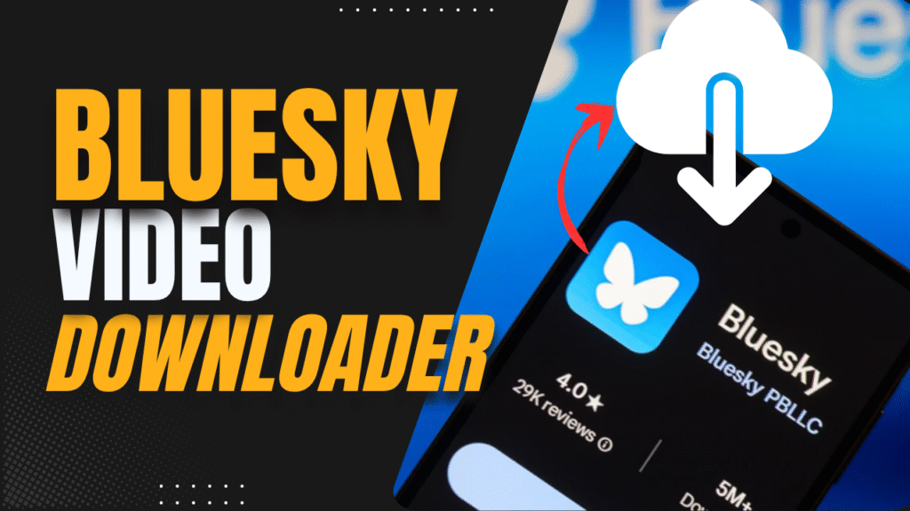 bluesky video downloader