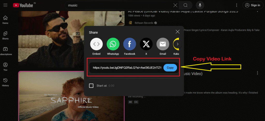 How to Post a Video Link on Bluesky