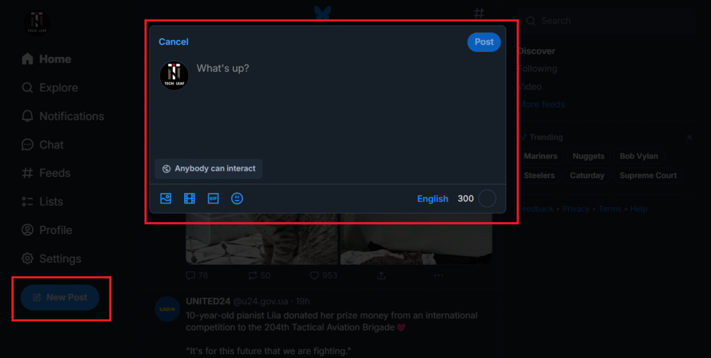 How to Post a Video Link on Bluesky