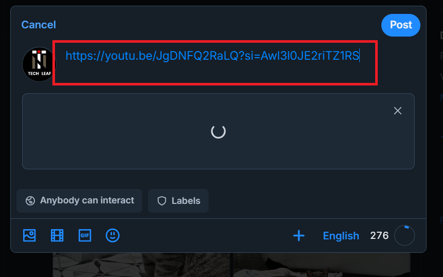How to Post a Video Link on Bluesky