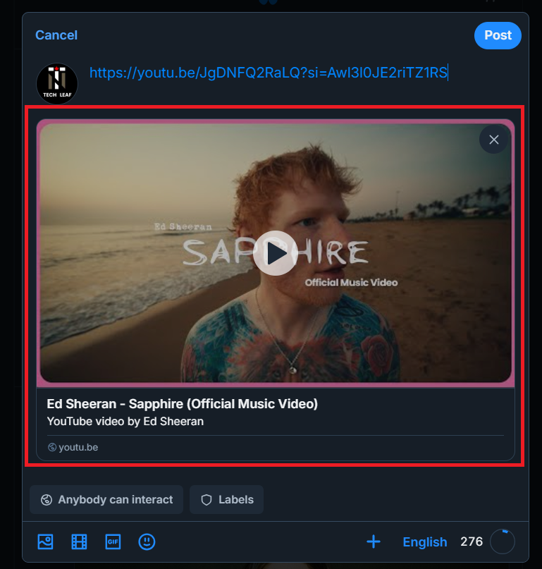 How to Post a Video Link on Bluesky