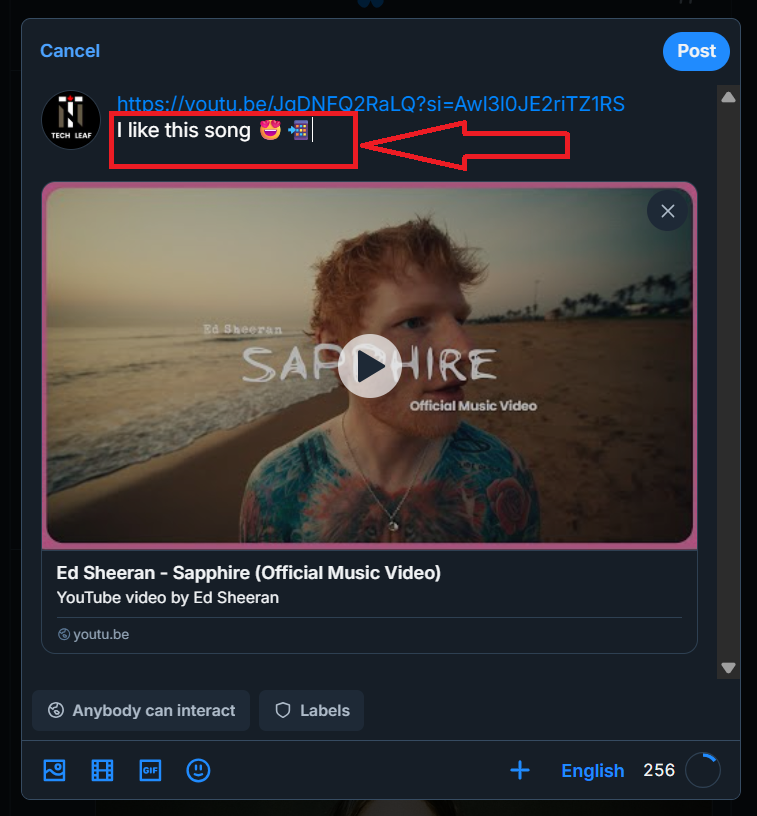 How to Post a Video Link on Bluesky