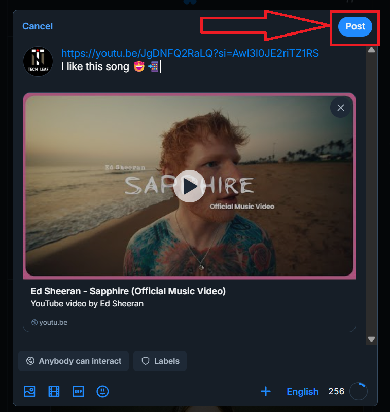How to Post a Video Link on Bluesky