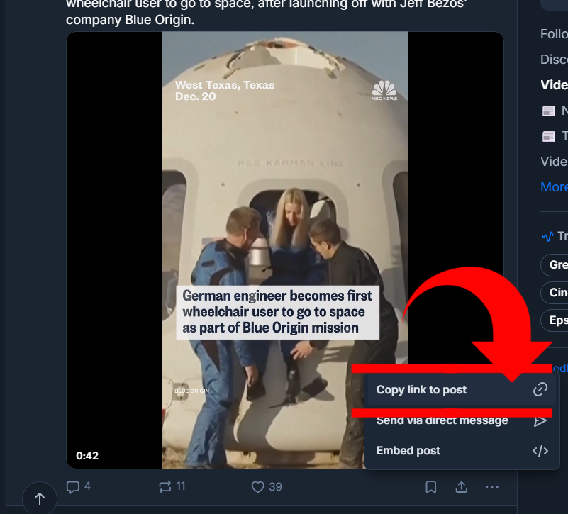 bluesky video downloader