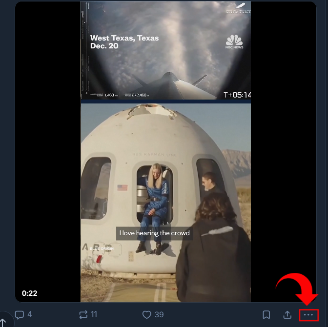bluesky video downloader