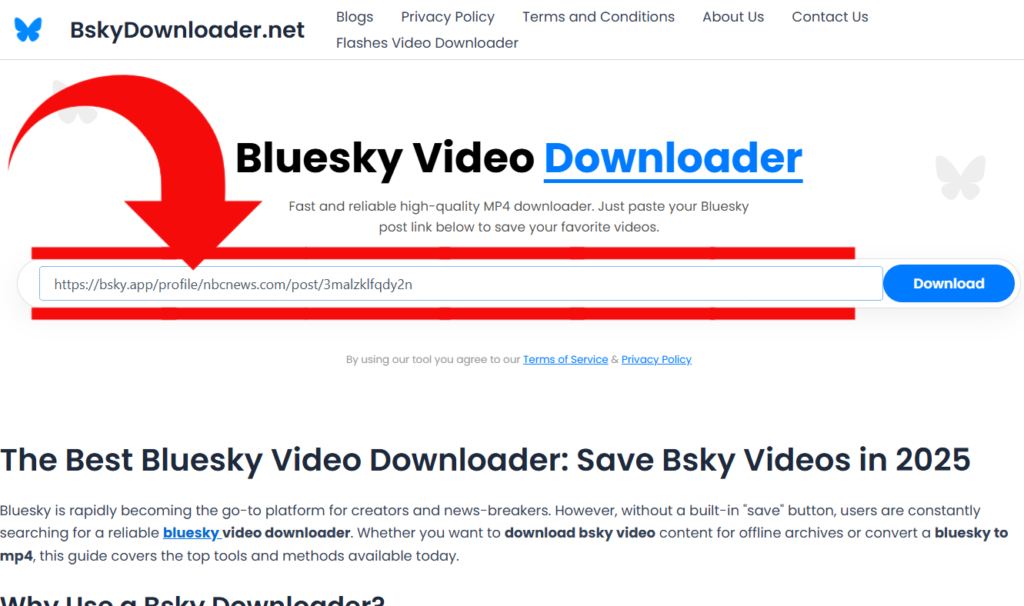 bluesky video downloader