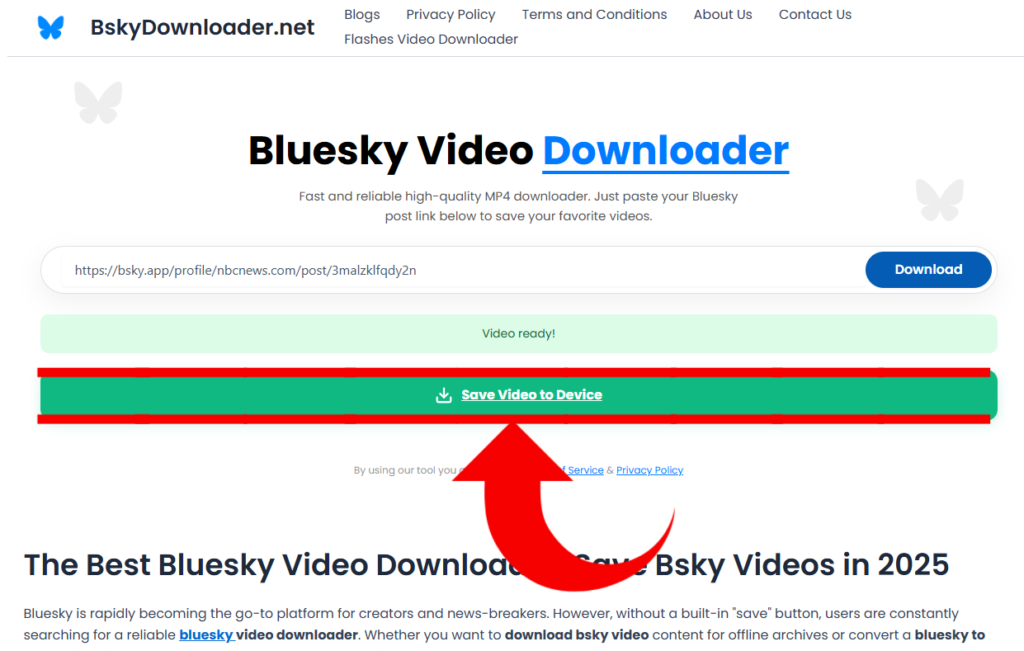 bluesky video downloader